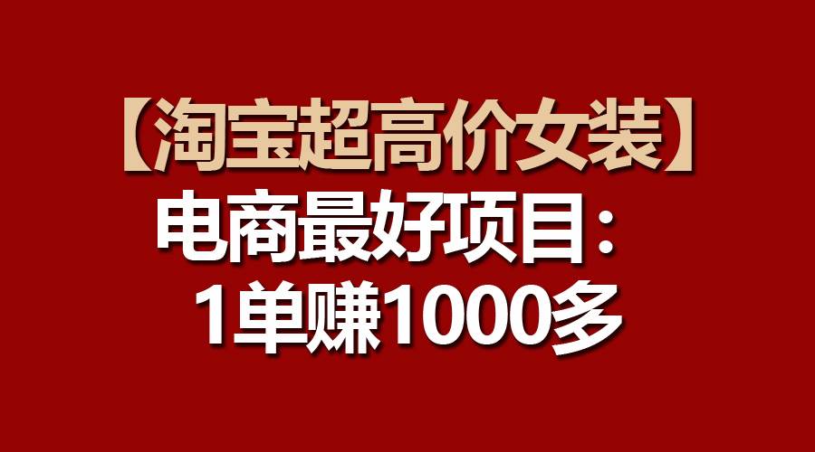 【淘宝超高价女装】电商最好项目：一单赚1000多 - 2Y资源-2Y资源