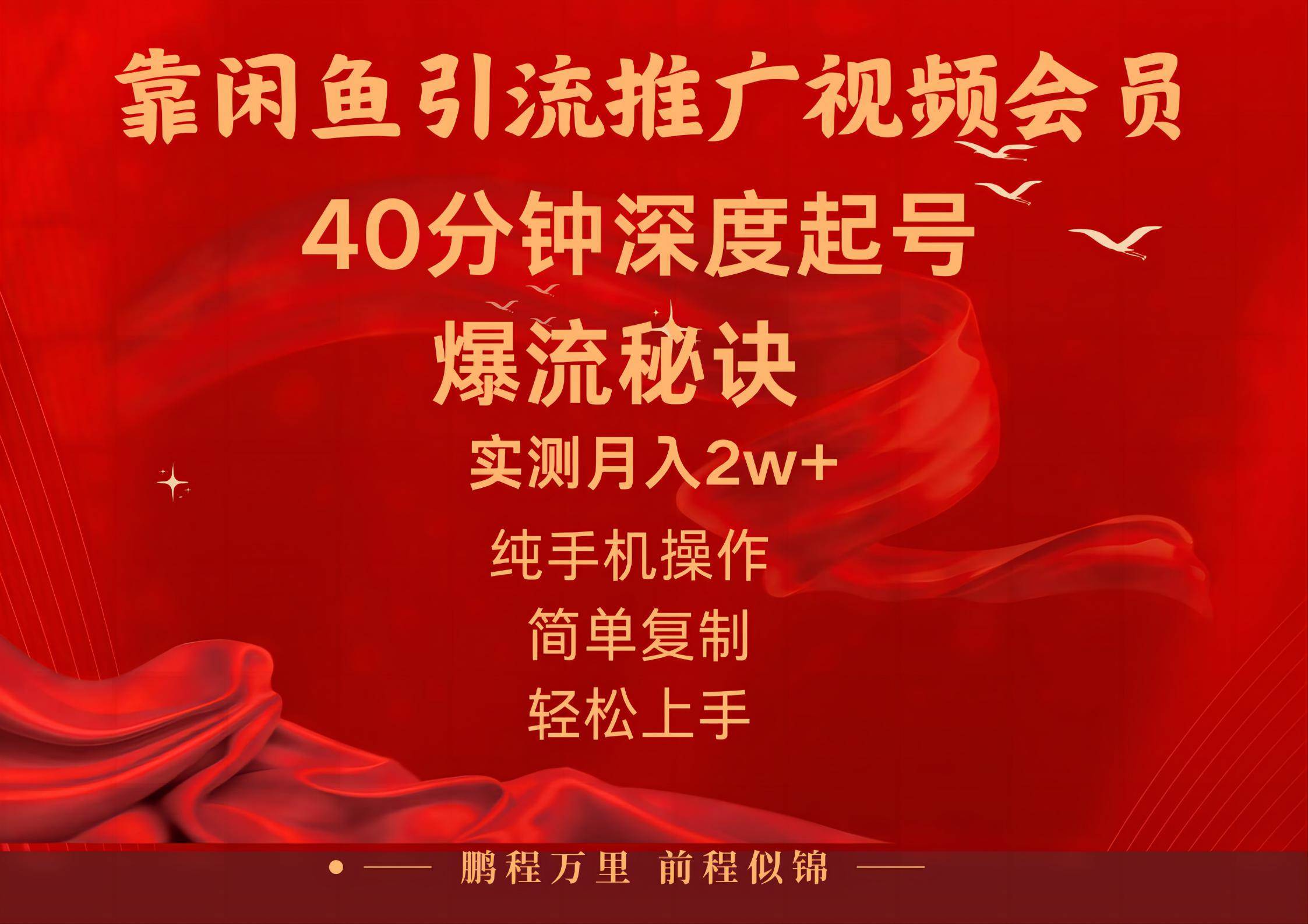 闲鱼暴力引流推广视频会员，能做到日入2W+，操作简单 - 2Y资源-2Y资源