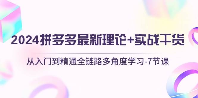 2024拼多多 最新理论+实战干货，从入门到精通全链路多角度学习-7节课 - 2Y资源-2Y资源