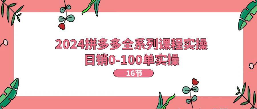 2024拼多多全系列课程实操，日销0-100单实操【16节课】-2Y资源