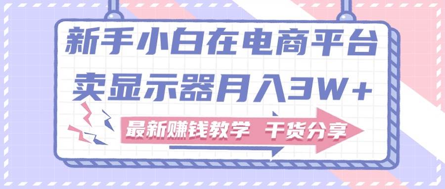 新手小白如何做到在电商平台卖显示器月入3W+，最新赚钱教学干货分享 - 2Y资源-2Y资源