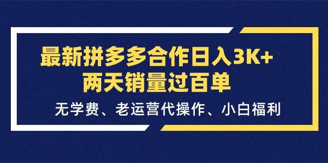 最新拼多多合作日入3K+两天销量过百单，无学费、老运营代操作、小白福利 - 2Y资源-2Y资源