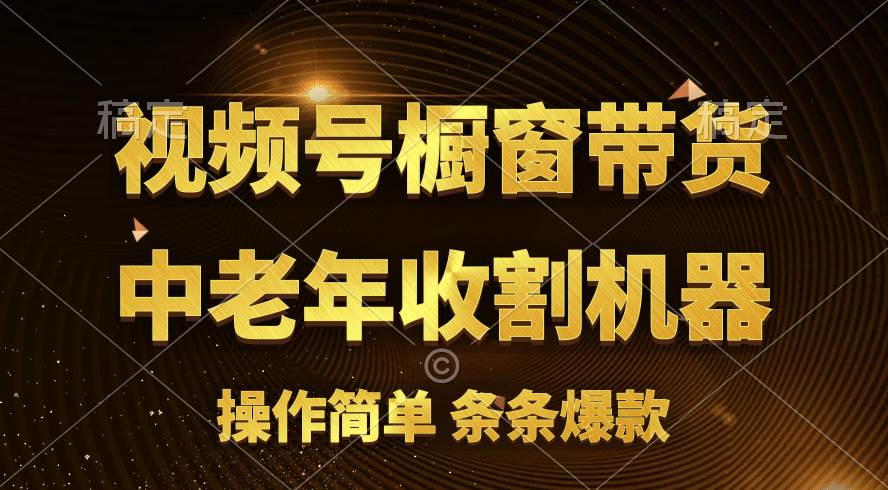 [你的孩子成功取得高位]视频号最火爆赛道，橱窗带货，流量分成计划，条…-2Y资源