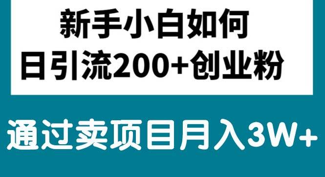 新手小白日引流200+创业粉,通过卖项目月入3W+-2Y资源