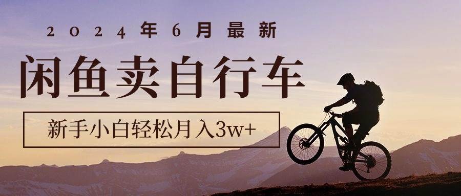 2024年6月最新闲鱼卖自行车，新手小白轻松月入3w+项目-2Y资源