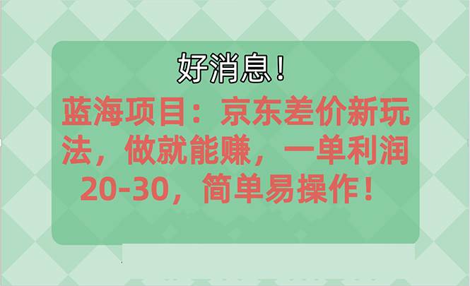 越早知道越能赚到钱的蓝海项目：京东大平台操作，一单利润20-30，简单…-2Y资源