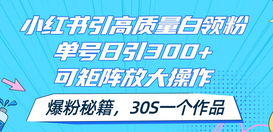 小红书引高质量白领粉，单号日引300+，可放大操作，爆粉秘籍！30s一个作品-2Y资源