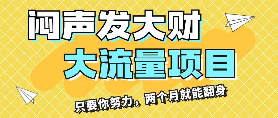 闷声发大财，大流量项目，月收益过3万，只要你努力，两个月就能翻身-2Y资源