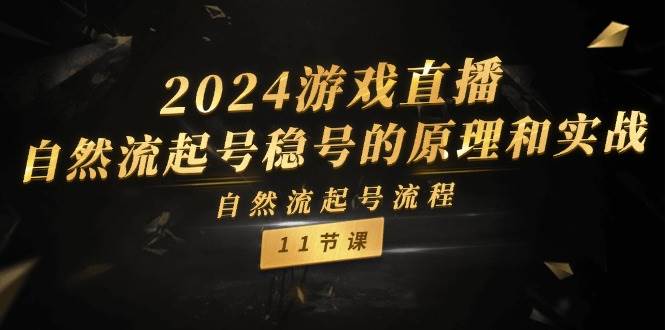 2024游戏直播-自然流起号稳号的原理和实战，自然流起号流程（11节）-2Y资源