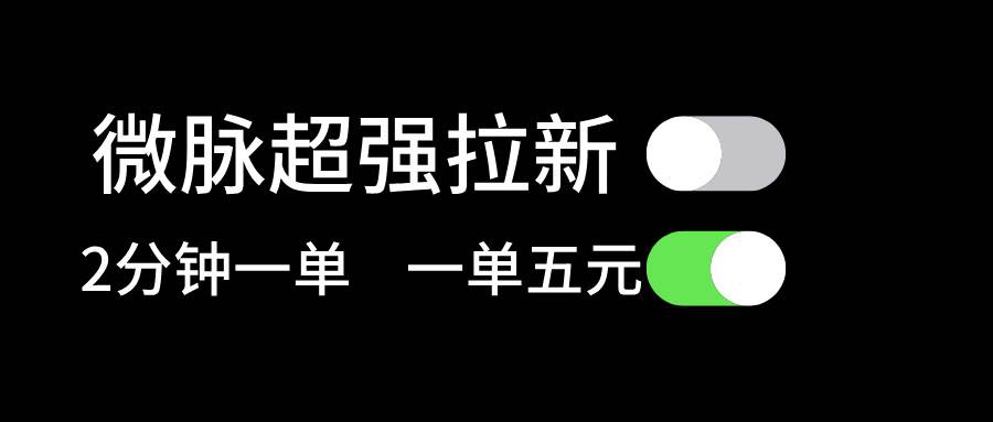 微脉超强拉新， 两分钟1单， 一单利润5块，适合小白-2Y资源