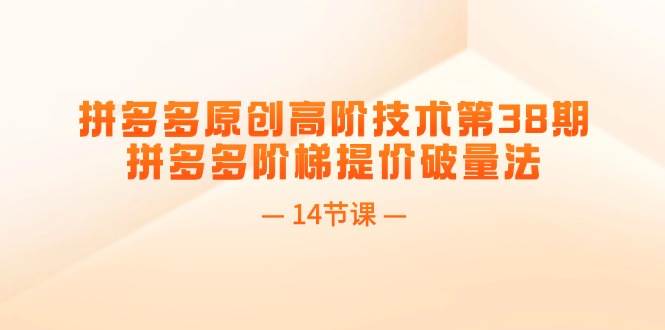 拼多多原创高阶技术第38期，拼多多阶梯提价破量法（14节课）-2Y资源