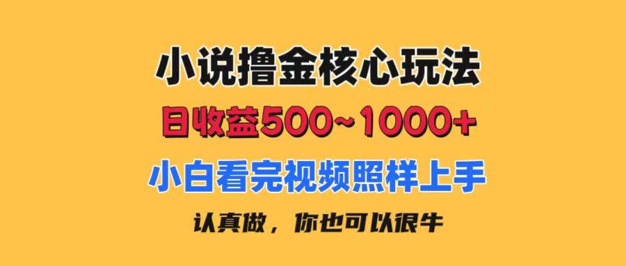 小说撸金核心玩法，日收益500-1000+，小白看完照样上手，0成本有手就行-2Y资源