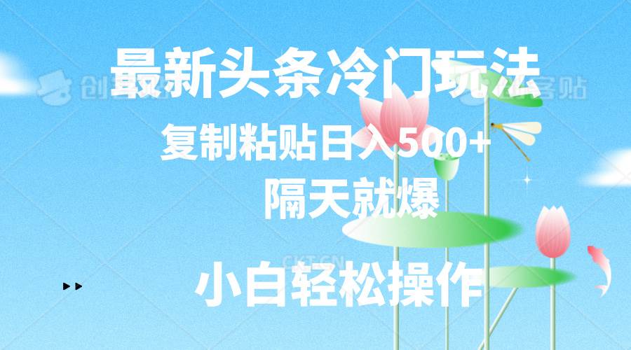 最新头条冷门玩法，隔天就爆，复制粘贴日入500+-2Y资源