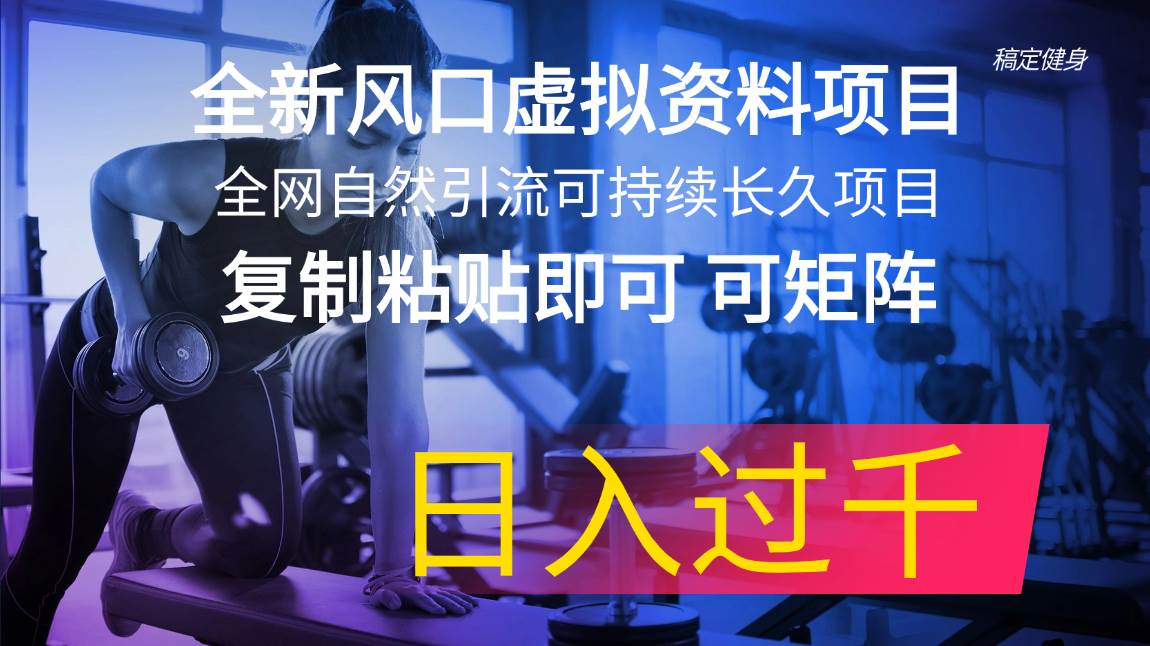 全新风口虚拟资料项目 全网自然引流可持续长久项目 复制粘贴即可可矩阵…-2Y资源