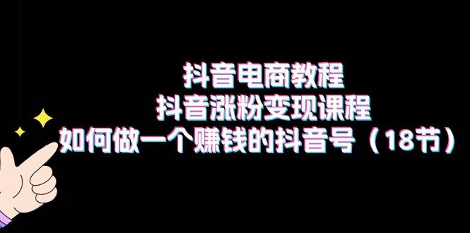 抖音电商教程：抖音涨粉变现课程：如何做一个赚钱的抖音号（18节）-2Y资源