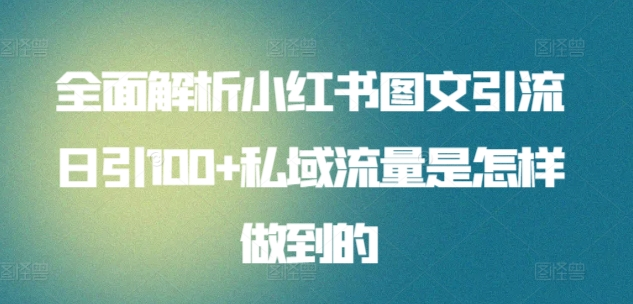 日引流100私域流量小红书图文是怎样做到的全面解析-2Y资源