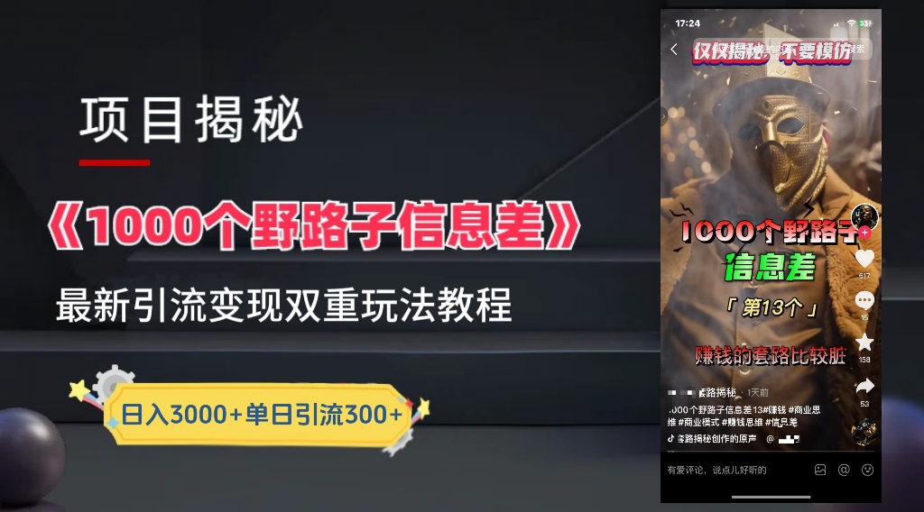 一千个野路子信息差24年最新玩法教程附带变现方法和引流的玩法具体拆解-2Y资源