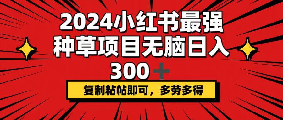 2024小红书最强种草项目，无脑日入300+，复制粘帖即可，多劳多得-2Y资源