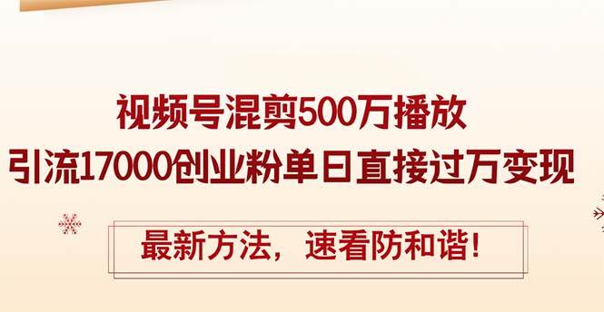 精华帖视频号混剪500万播放引流17000创业粉，单日直接过万变现，最新方…-2Y资源