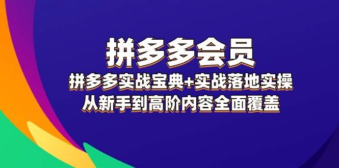 拼多多 会员，拼多多实战宝典+实战落地实操，从新手到高阶内容全面覆盖-2Y资源