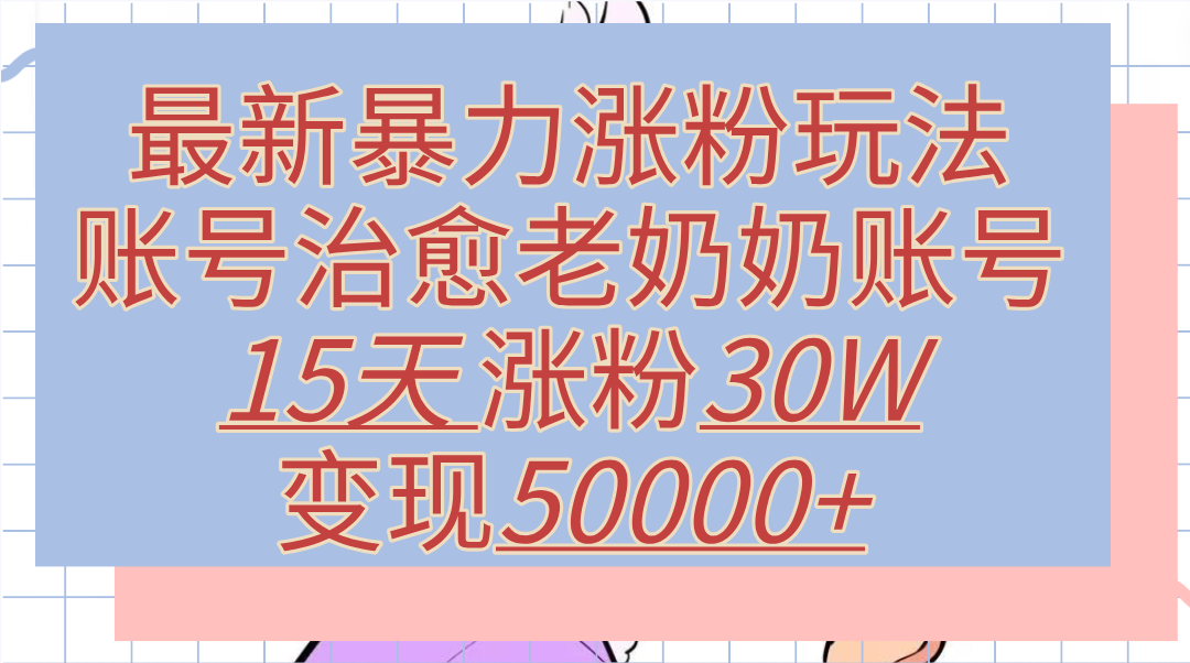 最新暴力涨粉玩法，治愈老奶奶账号，15天涨粉30W，变现50000+【揭秘】-2Y资源