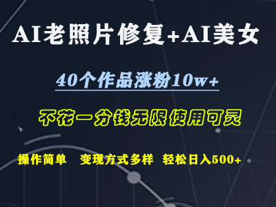 AI老照片修复+AI美女玩发  40个作品涨粉10w+  不花一分钱使用可灵  操作简单  变现方式多样话   轻松日去500+-2Y资源