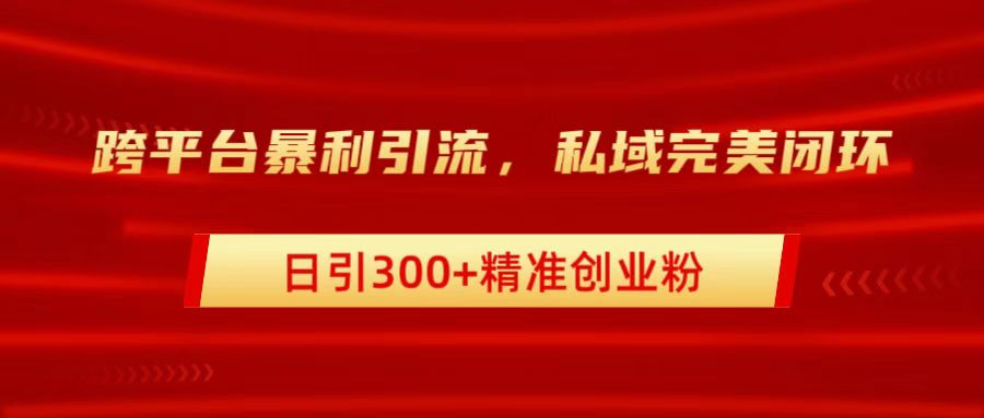 跨平台暴力引流，私域完美闭环，日引300+精准创业粉-2Y资源