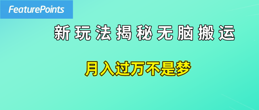 简单操作，每天50美元收入，搬运就是赚钱的秘诀！-2Y资源