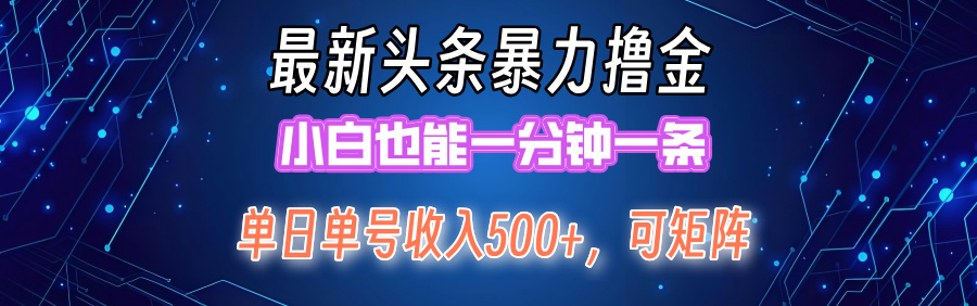 最新头条撸金，小白也能一分钟一条-2Y资源