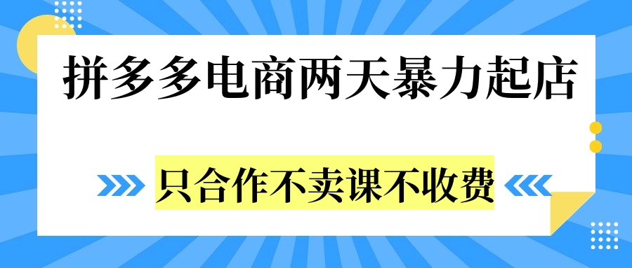 拼多多两天暴力起店，只合作不卖课不收费-2Y资源