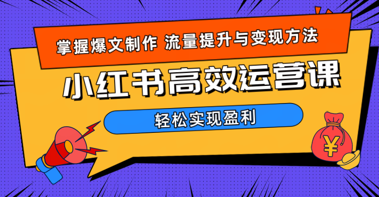 价值980小红书运营操作指南-2Y资源