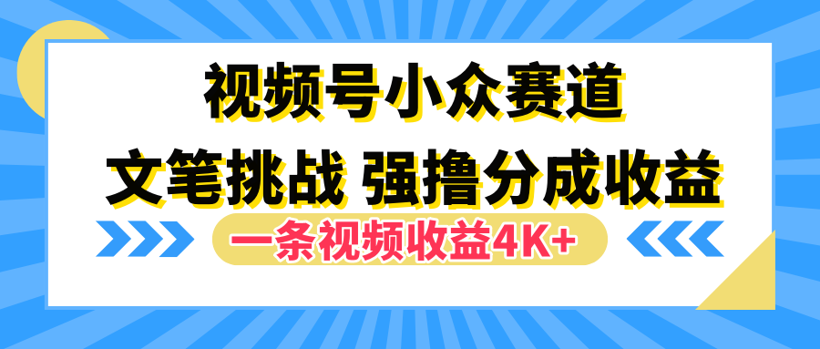 视频号小众赛道，文笔挑战，一条视频收益4K+-2Y资源