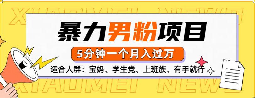 男粉项目，5分钟一个，无脑月入五位数 - 2Y资源-2Y资源