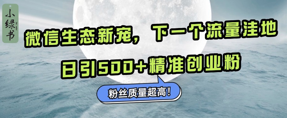 微信生态新宠小绿书：下一个流量洼地，粉丝质量超高，日引500+精准创业粉， - 2Y资源-2Y资源