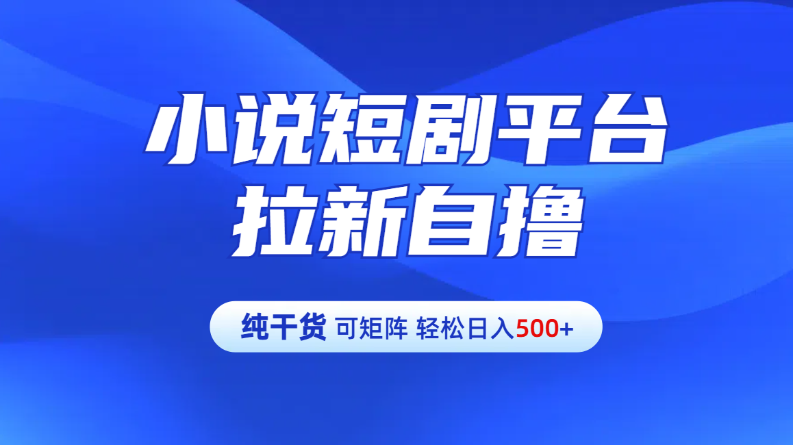 【纯干货】小说短剧平台拉新自撸玩法详解-单人轻松日入500+ - 2Y资源-2Y资源