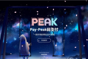 Peak码支付(全网最好用的码支付)支持个人及企业运营-2Y资源