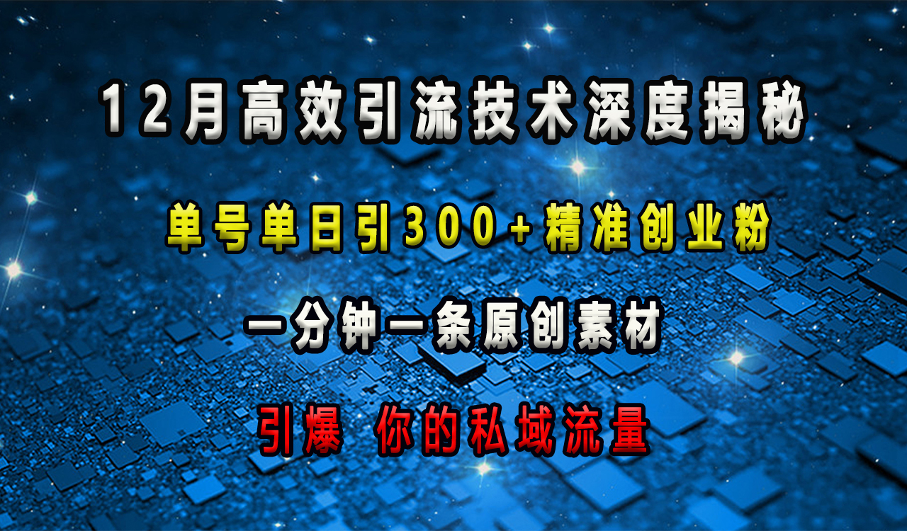 12月高效引流技术深度揭秘 ，单号单日引300+精准创业粉，一分钟一条原创素材，引爆你的私域流量 - 2Y资源-2Y资源