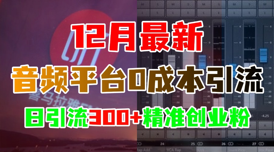 12月最新：音频平台0成本引流，日引300+精准创业粉 - 2Y资源-2Y资源