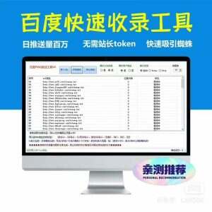 百度批量PING推送工具-2Y资源