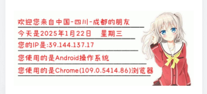 给网站添加一个IP签名档样式-2Y资源