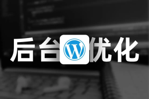 优化 WordPress 后台加载时间,轻松节省 10 秒!【后台优化】-2Y资源