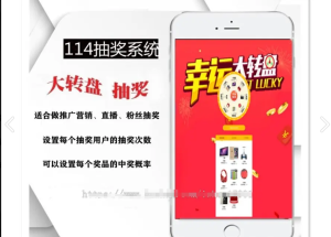 【二开优化版】php大转盘抽 奖源码 微信抽 奖系统手机抽 奖系统 可以设置中奖概率-2Y资源