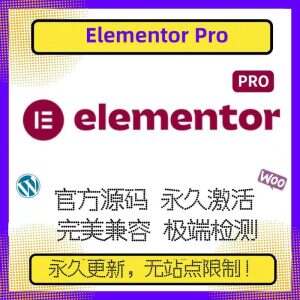 Elementor Pro插件 最新版本3.28.2-2Y资源