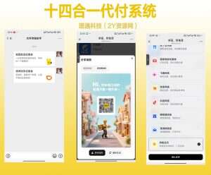 美团代付源码 十四合一代付系统 全平台商城代付系统源码、携程代付系统!-2Y资源